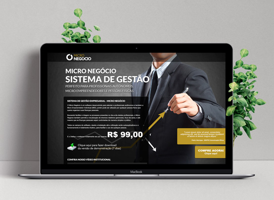 Micro Negócio
